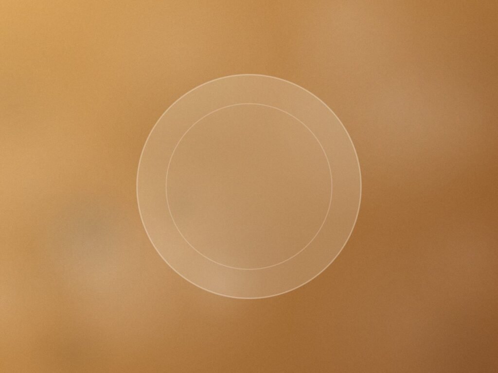 Foto provisional de la receta